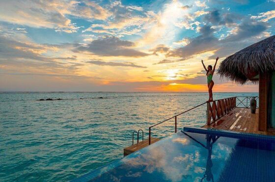 Rusya Üniversiteleri