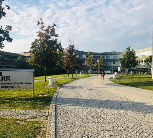 Regensburg Üniversitesi
