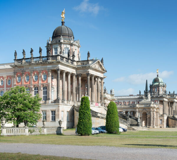 Potsdam Üniversitesi