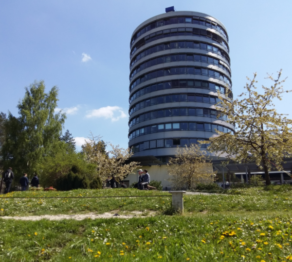 Kaiserslautern Teknik Üniversitesi