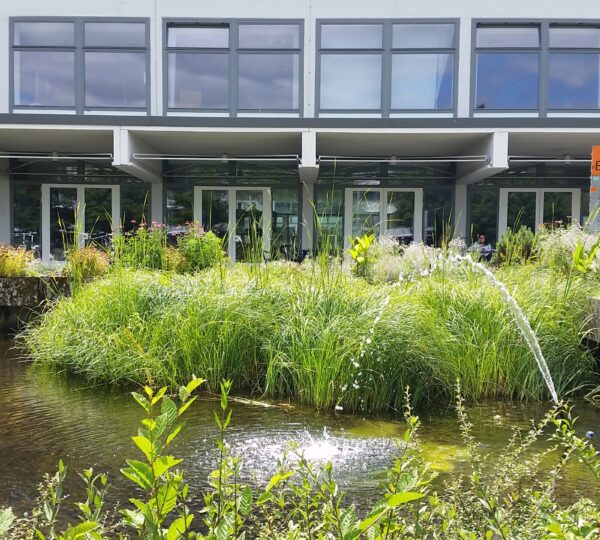 Saarland Üniversitesi