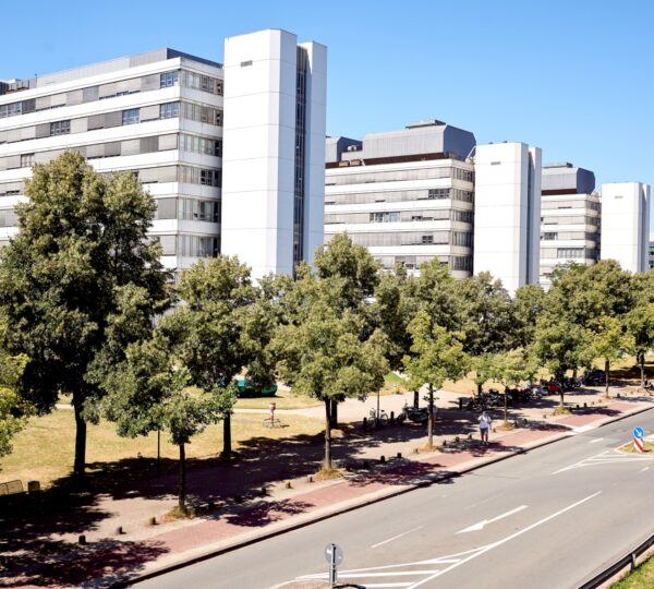 Bielefeld Üniversitesi