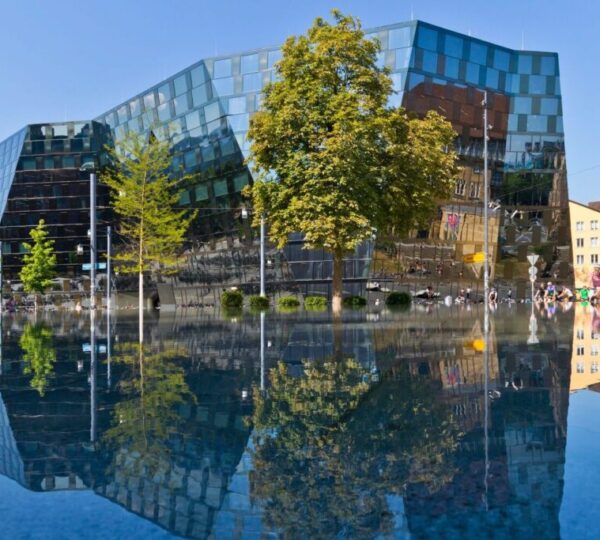 Freiburg Üniversitesi (Albert-Ludwigs-Universität Freiburg)